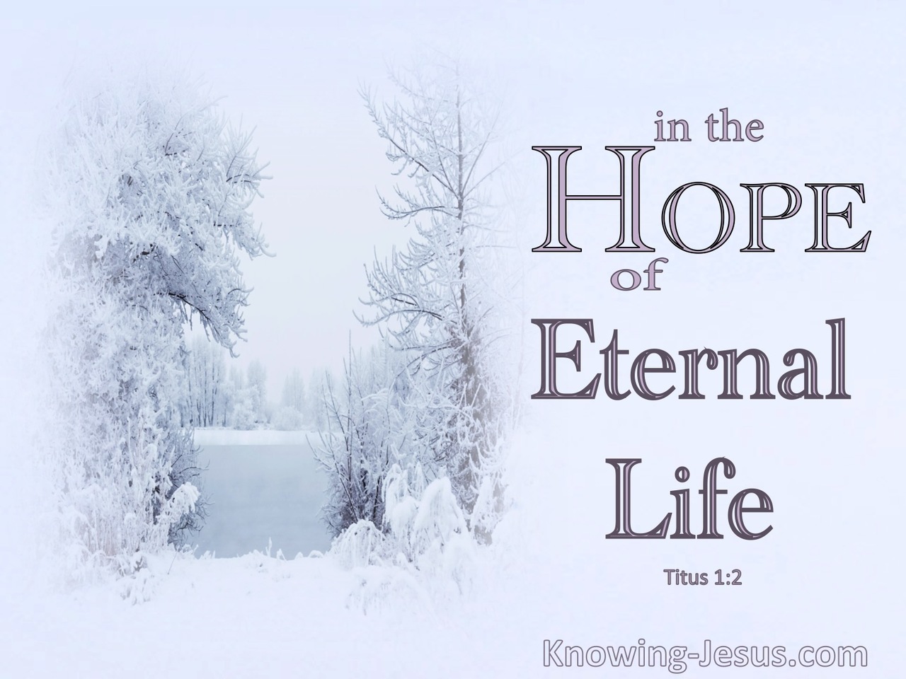 Titus 1:2 The Hope Of Eternal Life (white)